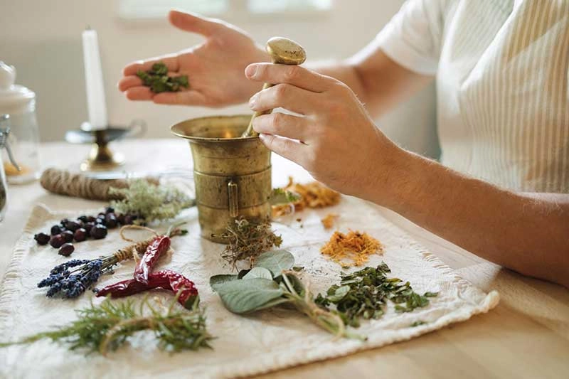 Why It Is Important to Take an Ayurveda Cure in September