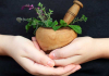 close-up-hand-holding-flower-pot